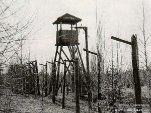 Карлаг. Вишка вартового, паркан з колючим дротом.